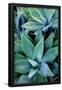 Essential Black