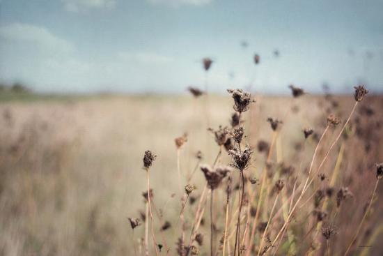 Photo, , large