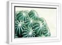White Frame