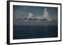 Chelsea Black