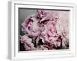 White Frame