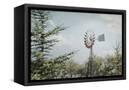 Canvas Black