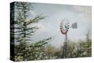 Stretched Canvas