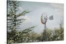 Stretched Canvas