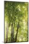 Wood Mount