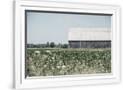 Gramercy White