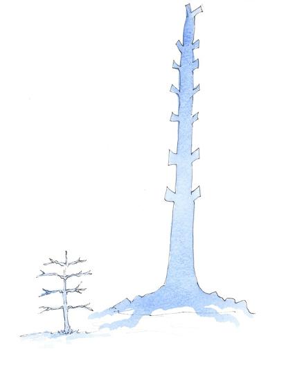 Premium Giclee Print, , large