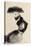 Elizabeth-Bridget Davies-Stretched Canvas