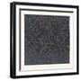 Elizabethan Ornament-null-Framed Giclee Print