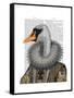 Elizabethan Swan-Fab Funky-Framed Stretched Canvas