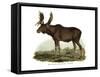 Elk, 1860-null-Framed Stretched Canvas