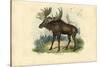 Elk, 1863-79-Raimundo Petraroja-Stretched Canvas