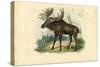 Elk, 1863-79-Raimundo Petraroja-Stretched Canvas
