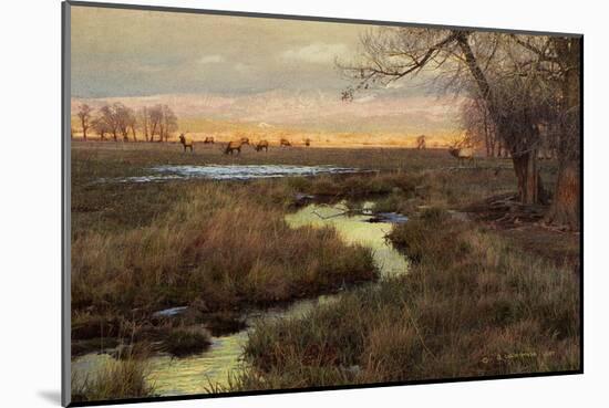 Elk and Creek-Chris Vest-Mounted Art Print