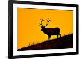 Elk and Sunrise-Lantern Press-Framed Art Print
