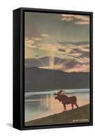 Elk at Sunset, Big Sky, Montana-null-Framed Stretched Canvas