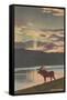 Elk at Sunset, Big Sky, Montana-null-Framed Stretched Canvas