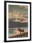 Elk at Sunset, Big Sky, Montana-null-Framed Art Print