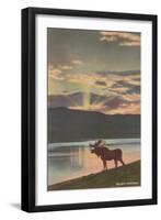 Elk at Sunset, Big Sky, Montana-null-Framed Art Print