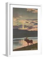 Elk at Sunset, Big Sky, Montana-null-Framed Art Print