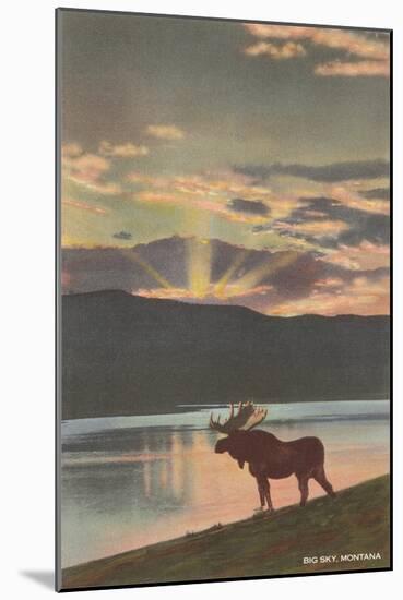 Elk at Sunset, Big Sky, Montana-null-Mounted Art Print