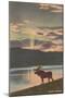 Elk at Sunset, Big Sky, Montana-null-Mounted Art Print