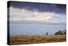 Elk at The Continental Divide, Yellowstone Lake, Wyoming-Vincent James-Stretched Canvas
