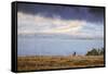 Elk at The Continental Divide, Yellowstone Lake, Wyoming-Vincent James-Framed Stretched Canvas