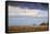 Elk at The Continental Divide, Yellowstone Lake, Wyoming-Vincent James-Framed Stretched Canvas