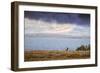 Elk at The Continental Divide, Yellowstone Lake, Wyoming-Vincent James-Framed Premium Photographic Print