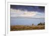 Elk at The Continental Divide, Yellowstone Lake, Wyoming-Vincent James-Framed Photographic Print