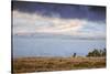 Elk at The Continental Divide, Yellowstone Lake, Wyoming-Vincent James-Stretched Canvas