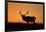 Elk Bull Silhouetted at Sunset, Montana-Richard and Susan Day-Framed Photographic Print