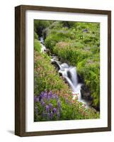 Elk Cove Creek Flowing Through Meadow of Wildflowers, Mt. Hood Wilderness, Oregon, USA-Steve Terrill-Framed Photographic Print