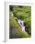 Elk Cove Creek Flowing Through Meadow of Wildflowers, Mt. Hood Wilderness, Oregon, USA-Steve Terrill-Framed Photographic Print