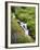 Elk Cove Creek Flowing Through Meadow of Wildflowers, Mt. Hood Wilderness, Oregon, USA-Steve Terrill-Framed Photographic Print