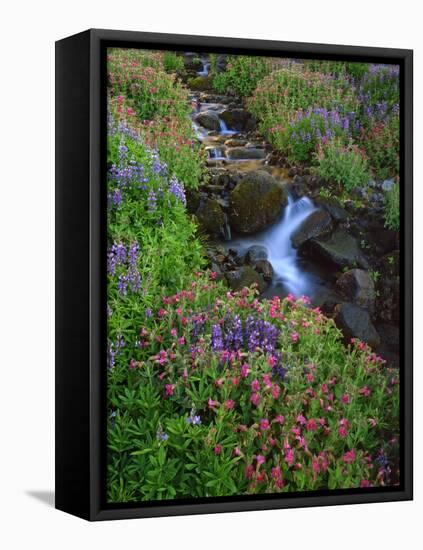 Elk Creek and Wildflowers-Steve Terrill-Framed Stretched Canvas