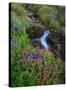 Elk Creek and Wildflowers-Steve Terrill-Stretched Canvas