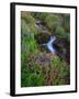 Elk Creek and Wildflowers-Steve Terrill-Framed Photographic Print