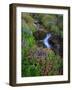 Elk Creek and Wildflowers-Steve Terrill-Framed Photographic Print