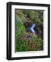 Elk Creek and Wildflowers-Steve Terrill-Framed Photographic Print