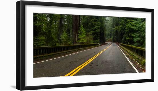 Elk Creek Bridge on Avenue of the Giants passing through a redwood forest, Humboldt Redwoods Sta...-null-Framed Photographic Print