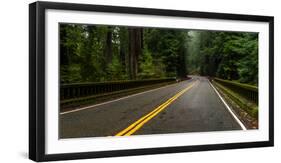 Elk Creek Bridge on Avenue of the Giants passing through a redwood forest, Humboldt Redwoods Sta...-null-Framed Photographic Print