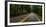 Elk Creek Bridge on Avenue of the Giants passing through a redwood forest, Humboldt Redwoods Sta...-null-Framed Photographic Print