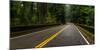 Elk Creek Bridge on Avenue of the Giants passing through a redwood forest, Humboldt Redwoods Sta...-null-Mounted Photographic Print