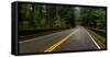 Elk Creek Bridge on Avenue of the Giants passing through a redwood forest, Humboldt Redwoods Sta...-null-Framed Stretched Canvas