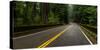 Elk Creek Bridge on Avenue of the Giants passing through a redwood forest, Humboldt Redwoods Sta...-null-Stretched Canvas