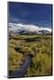 Elk Creek with fresh snow on Steamboat Mountain along the Rocky Mountain Front, Montana-Chuck Haney-Mounted Photographic Print