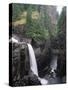 Elk Falls Park, Vancouver Island, Elk Falls Drops into a Deep Gorge-Christopher Talbot Frank-Stretched Canvas