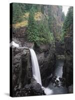 Elk Falls Park, Vancouver Island, Elk Falls Drops into a Deep Gorge-Christopher Talbot Frank-Stretched Canvas